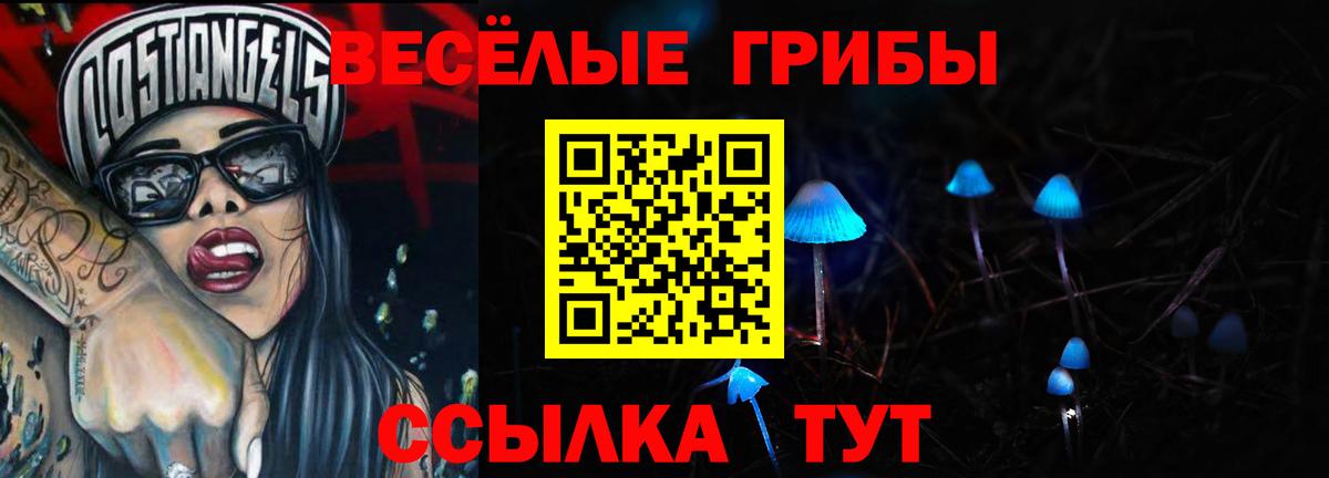 Галлюциногенные грибы Cubensis Удомля
